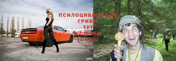 МДМА Протвино