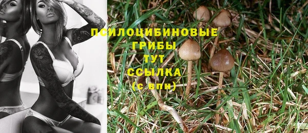 синтетический гашиш Армянск