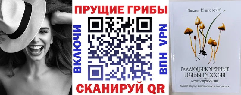 Псилоцибиновые грибы Psilocybine cubensis  где можно купить   Карачаевск 